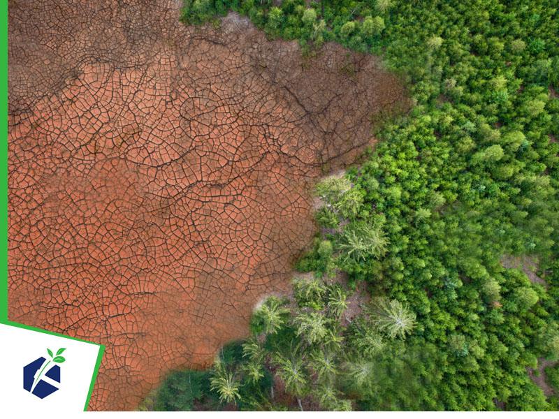 Plano de Recuperação de Áreas Degradadas e Alteradas (PRADA)